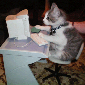 a professional cat conducting business via a desktop computer